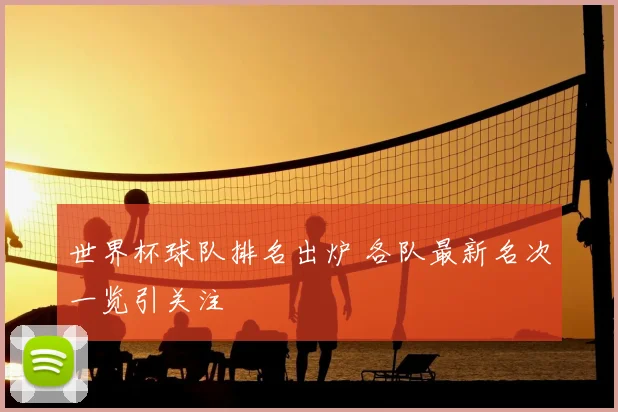 世界杯球队排名出炉 各队最新名次一览引关注