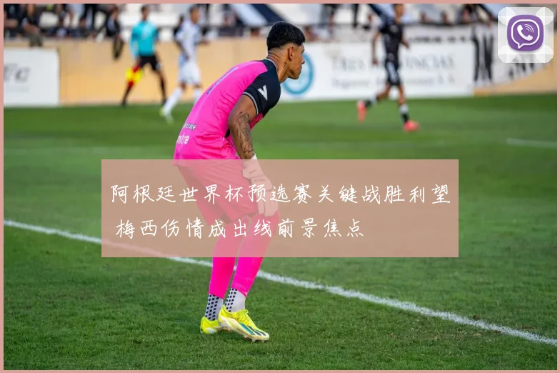 阿根廷世界杯预选赛关键战胜利望 梅西伤情成出线前景焦点