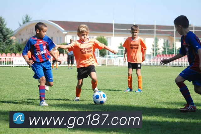 开云在线官网登录APP 封面图